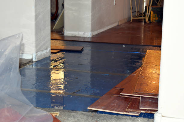 Professional Basement Flood Cleanup technician working in Hampton, NJ